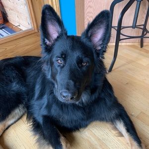 Meet your Posher, Heather